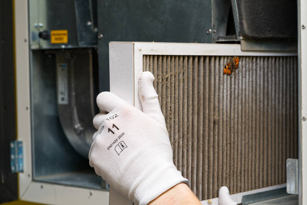 Best Affordable Duct Cleaning Services  in Palmyra, WI